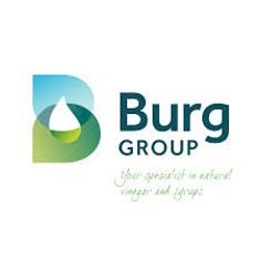 burg groep logo